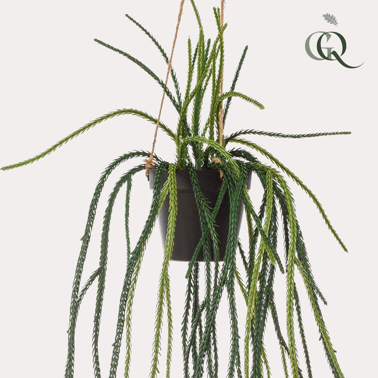 Rhypsalis Coral Cactus plante artificielle - h85cm, Ø15cm