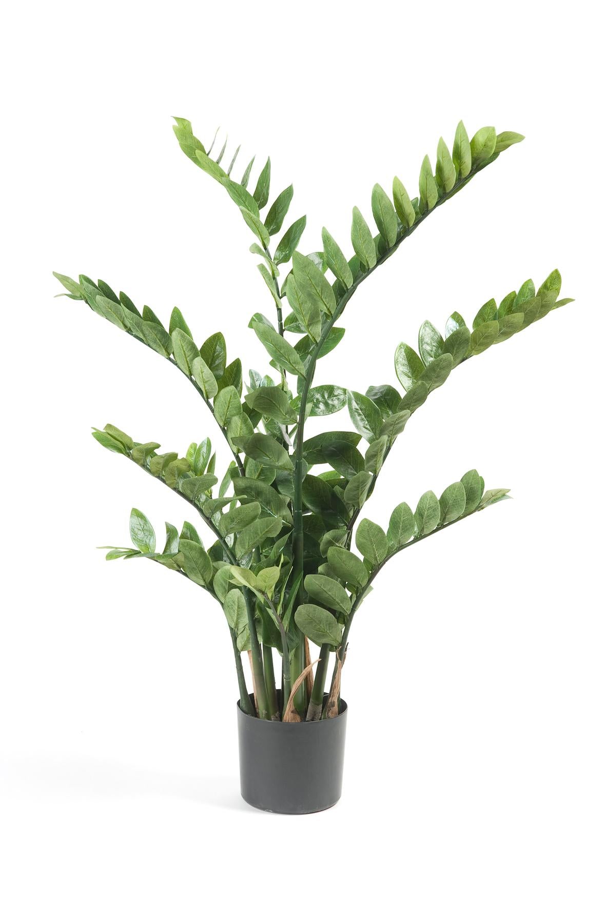 Zamioculcas plante artificielle - h110cm, Ø13cm