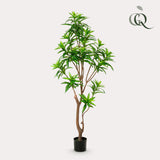 Dracaena plante artificielle - h160cm, Ø12cm