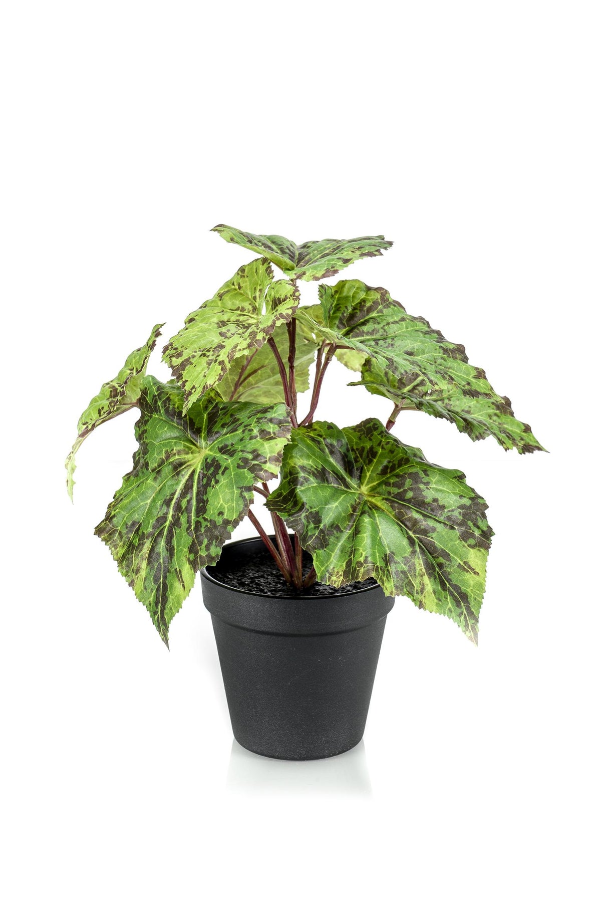 Begonia Rex plante artificielle - h25cm, Ø11cm