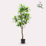Dracaena plante artificielle - h130cm, Ø14cm
