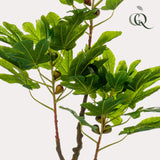 Figuier plante artificielle h95cm, Ø12cm