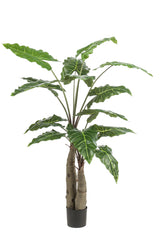 Alocasia plante artificielle - h150cm, Ø12cm