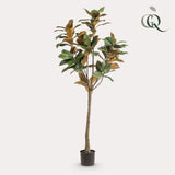 Magnolia Grandiflora plante artificielle - h150cm, Ø15cm