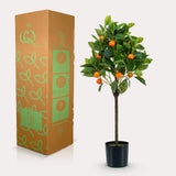 Oranger plante artificielle - h75cm, Ø12cm