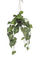 Anthurium Clarinerdium plante artificielle - h80cm, Ø18cm