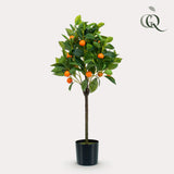 Oranger plante artificielle - h75cm, Ø12cm