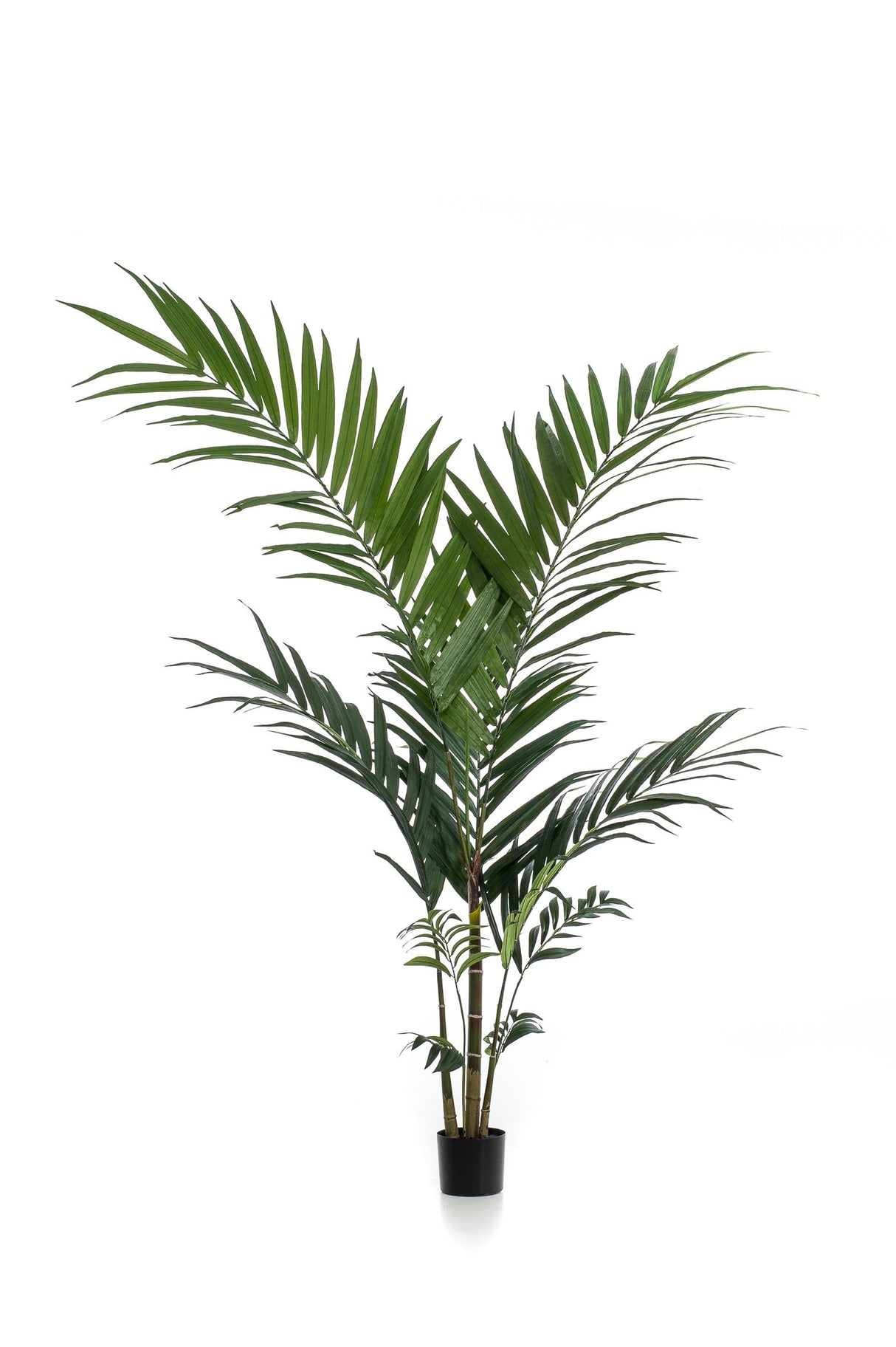 Palmier Kentia plante artificielle- h150cm, Ø12cm