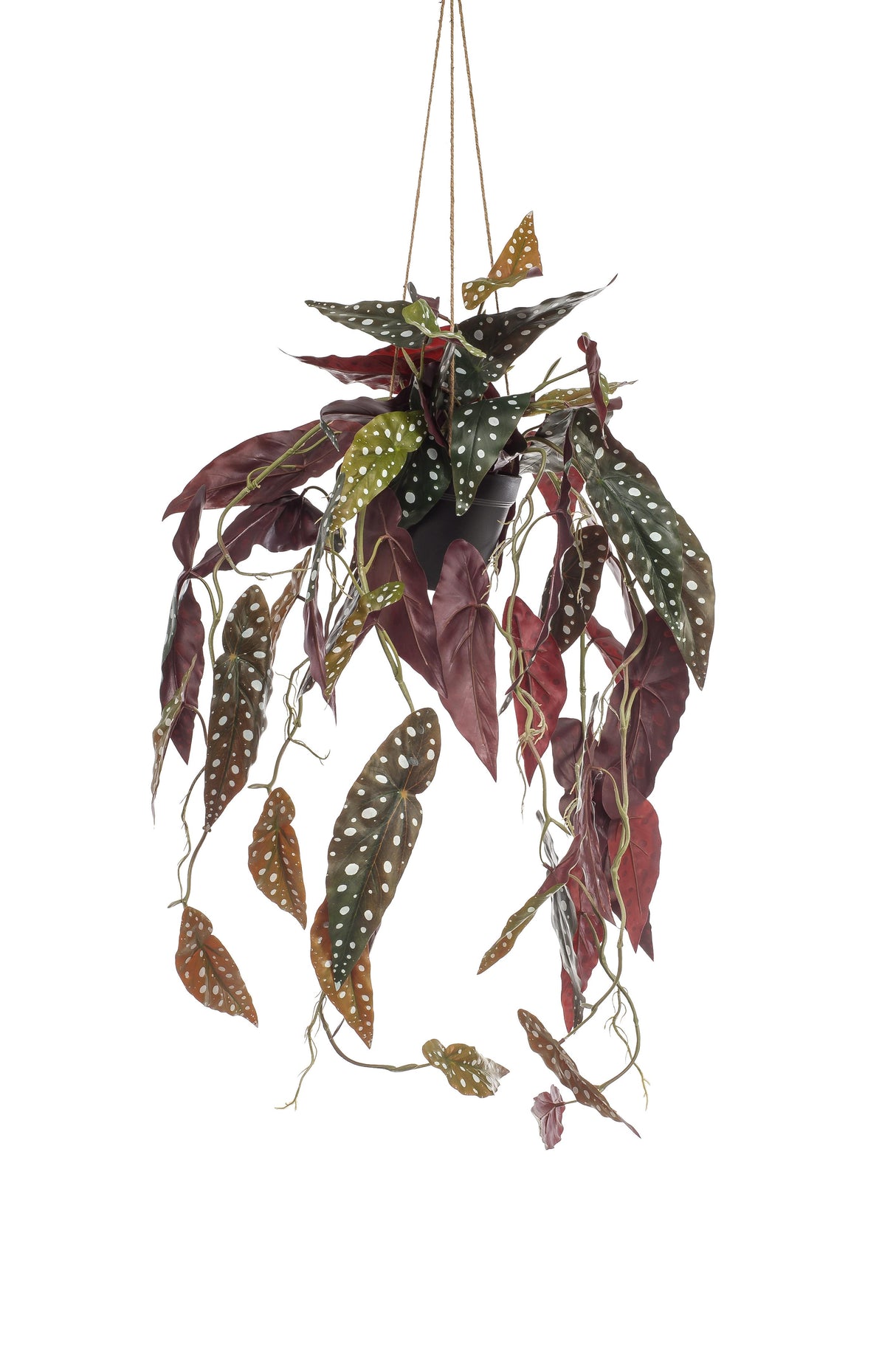 Bégonia Maculata plante artificielle - h80cm, Ø18cm
