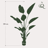 Strelitzia Nicolai plante artificielle - h150cm, Ø12cm