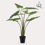 Alocasia plante artificielle - h90cm, Ø14cm