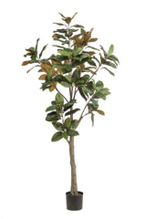 Magnolia Grandiflora plante artificielle - h180cm, Ø15cm