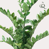 Zamioculcas plante artificielle - h110cm, Ø13cm
