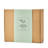 Plante SPA Box - protects and cleanses