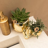 Petit Cactus doré - décoration Noël