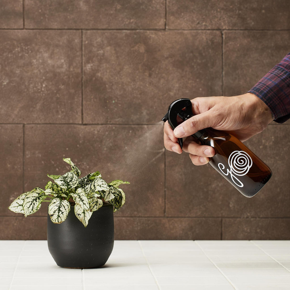 Natural houseplant cleaner - cleans and protects