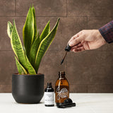 Protective oil for indoor plants