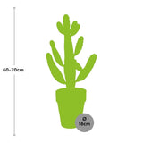 Opuntia consolea h65cm - cactus de interior