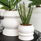 Vaso per piante bianco - Ø9 cm
