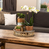 Wooden support for indoor plant